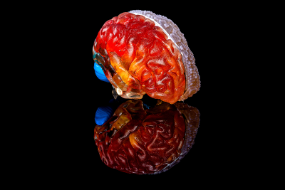 Medical Brain