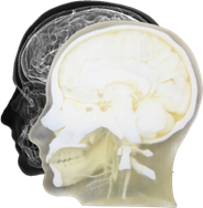 RadioMatrix - Medical RadioMatrix - Medical