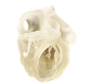 TissueMatrix - Medical TissueMatrix - Medical
