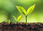 Lifecycle Lifecycle