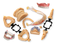 Dental 3D Prints
