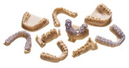 Teeth 3D printed prototypes Teeth 3D printed prototypes