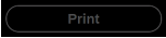 PrintButton_NoFile.PNG